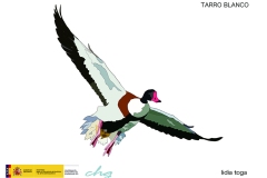 tarro_blanco_72