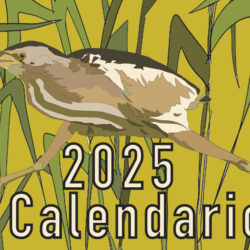 Calendario_2025