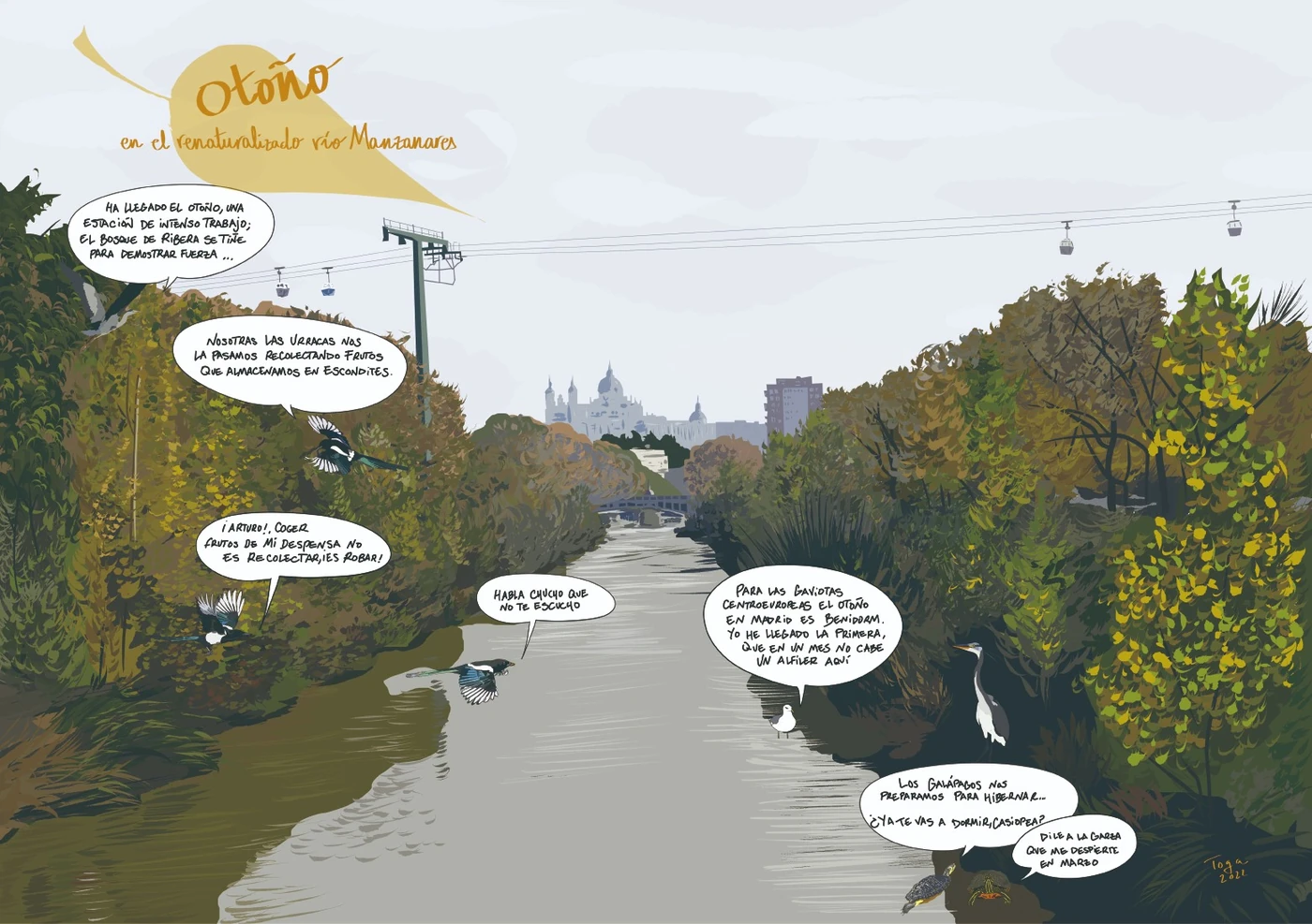 Renaturalización del río Manzanares en Madrid