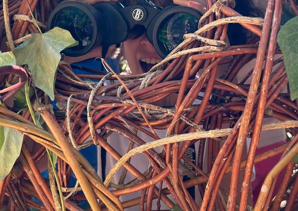 Observación de aves con prismáticos