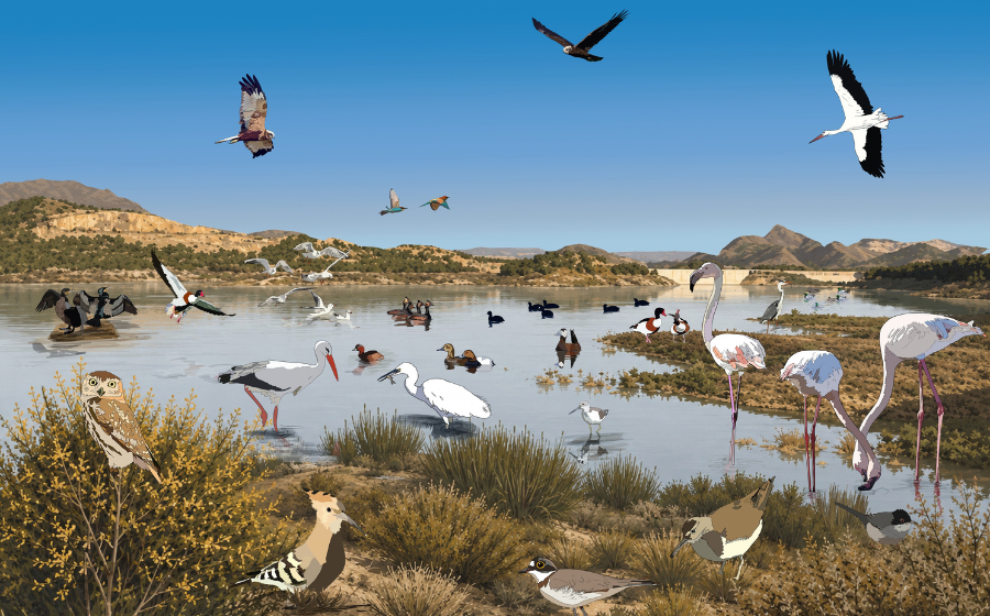 Intervención El río es vida vinculada a la Confederación Hidrográfica del Guadalquivir