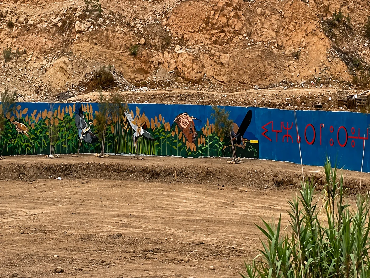 Mural educativo sobre aves de Melilla